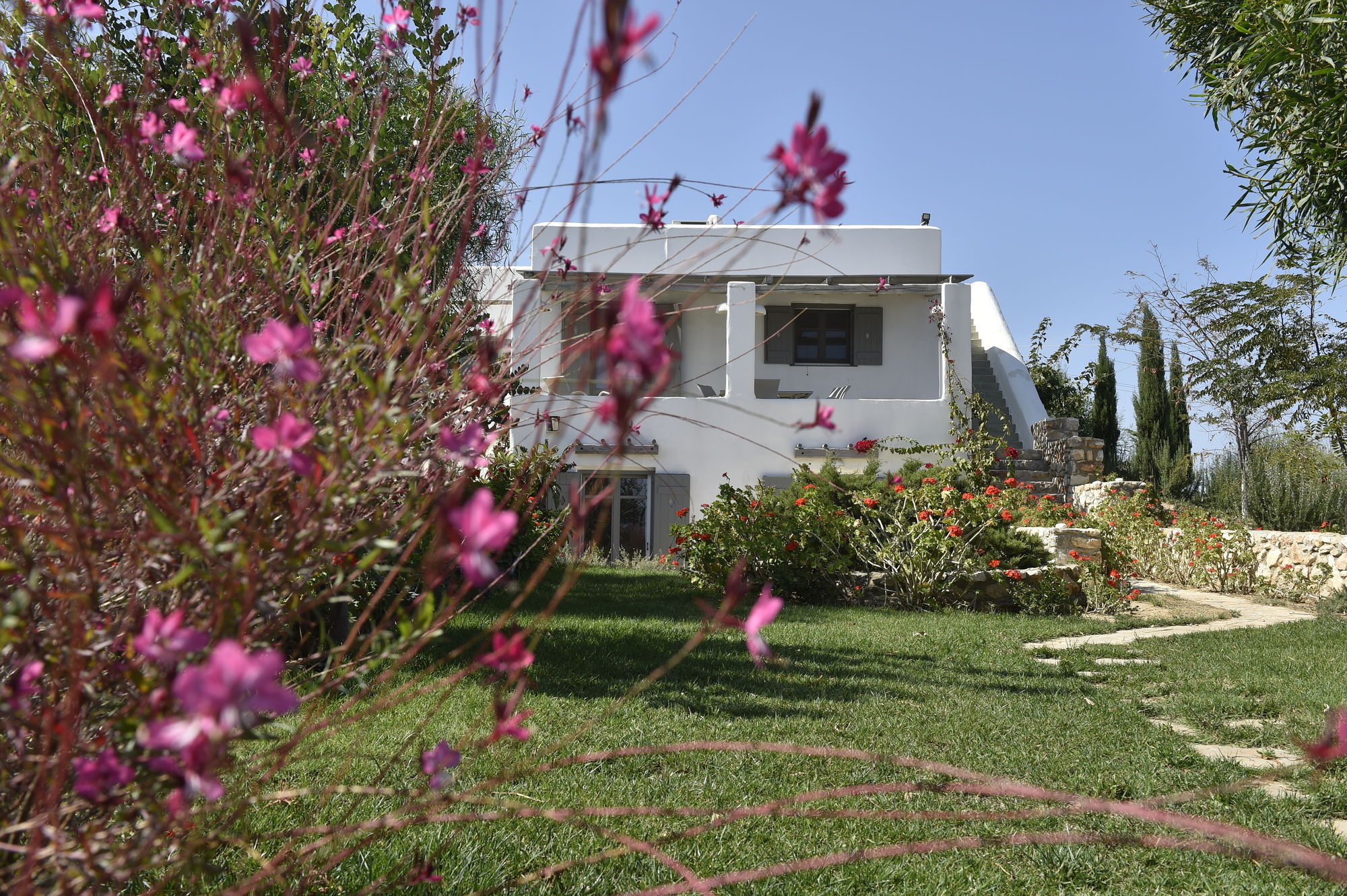 Naoussa Hills Boutique Resort- Adults Only ปาริเกีย ภายนอก รูปภาพ
